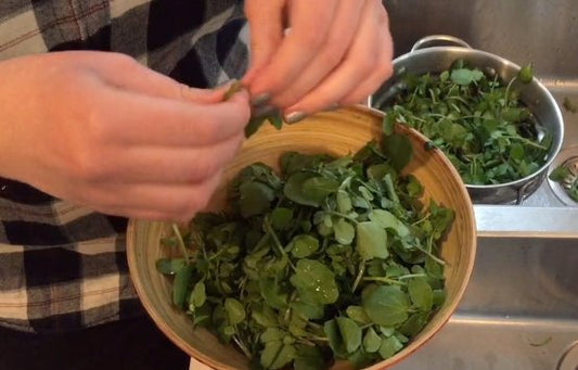 Pilar and Paula's Watercress Pesto